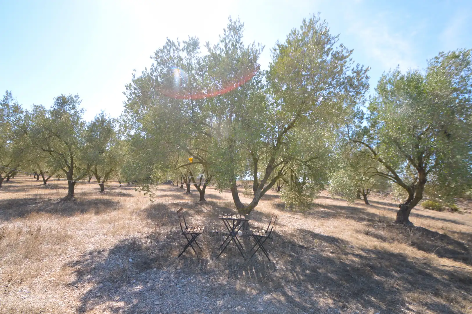 Rural land for sale in Ulldecona, imagen 26