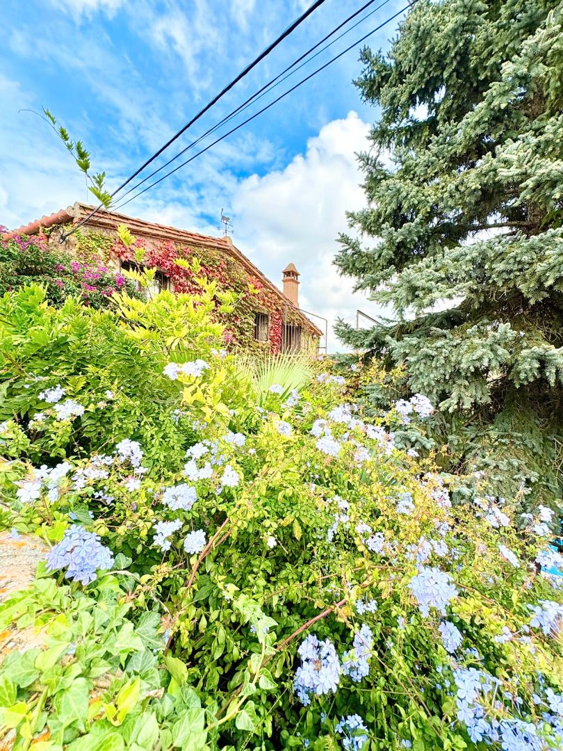 Jardín de Casa o chalet en venta en Foixà con Calefacción, Jardín privado y Terraza