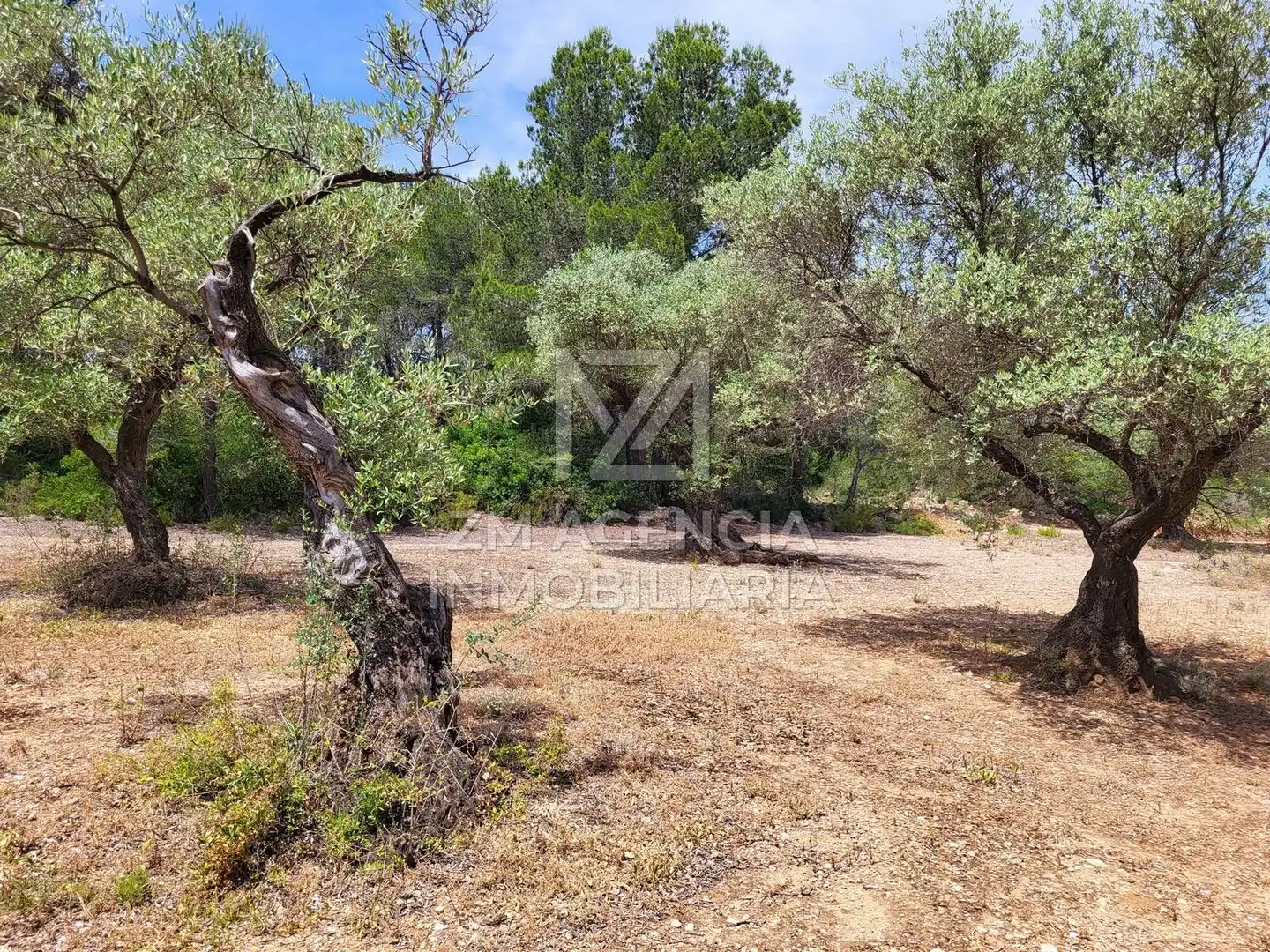 Terreno rustico in vendita a Canet lo Roig, imagen 36