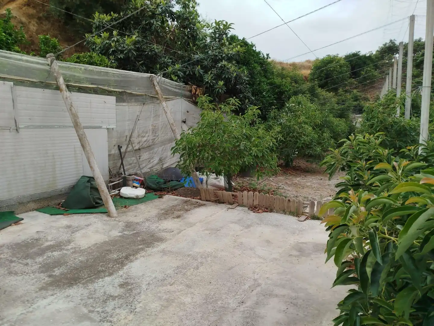 Terrain rustique à vendre à Vélez-Málaga ciudad, imagen 38