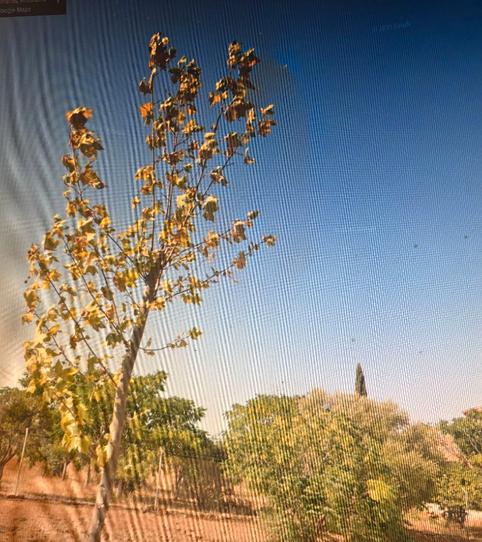 Photo 2 of Residential for sale in Calle Chiclana, 1, La Hacienda - Nueva Andalucía, Dos Hermanas