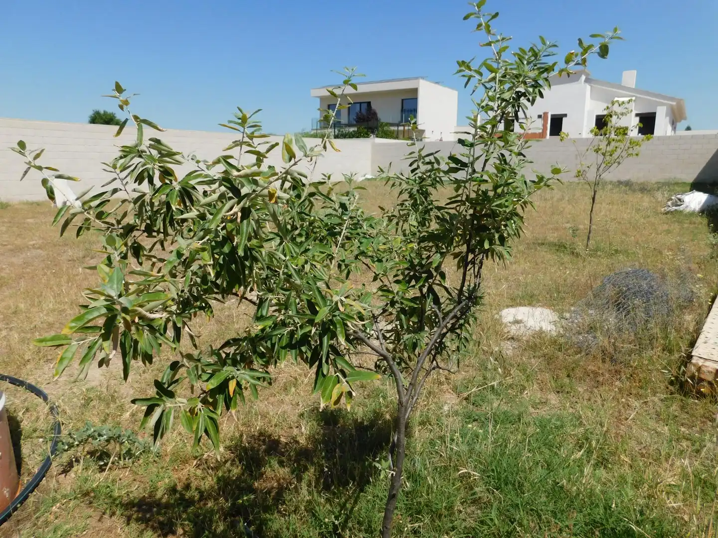 Terreni e lotti in vendita a El Viso de San Juan, imagen 14