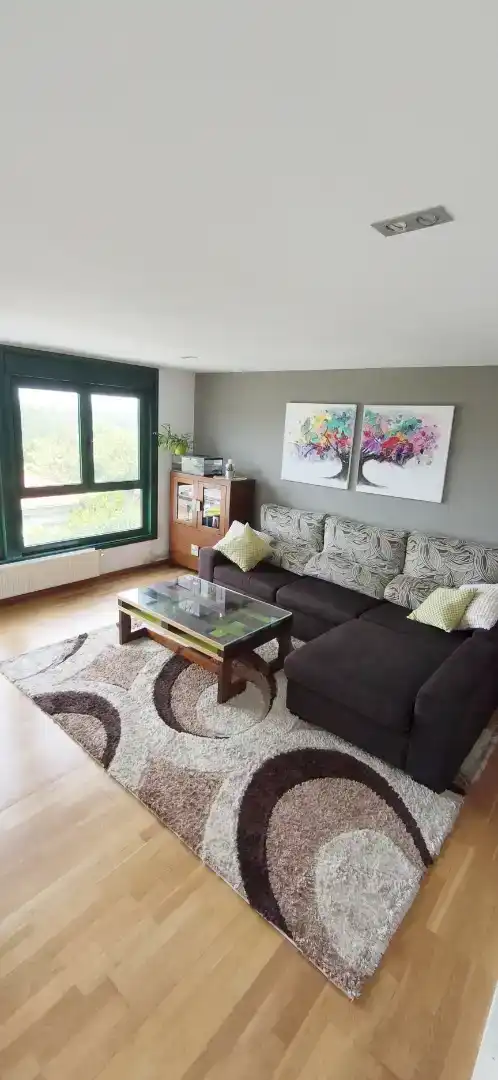 Living room of Flat for sale in Boqueixón  with Parquet flooring, Storage room and Furnished