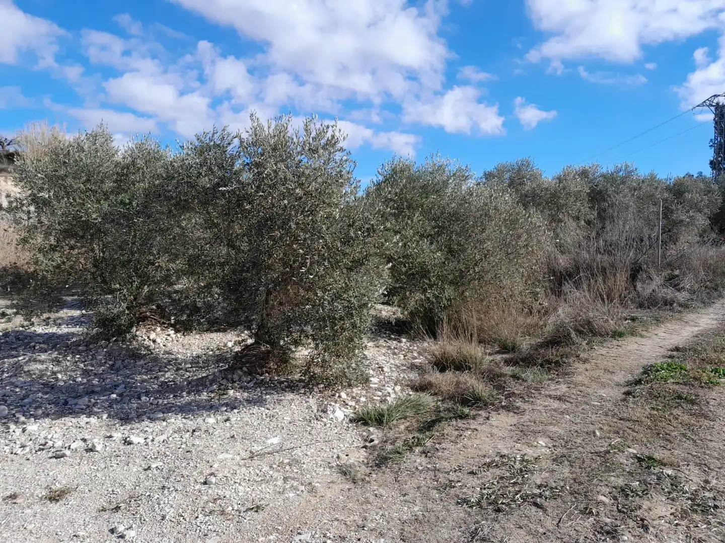Rustikales Grundstück zum Verkauf in Carretera del Escobar Km 2, imagen 4