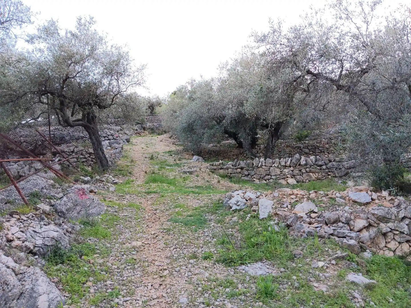 Terrenys i solars en venda a Ferreries, imagen 17