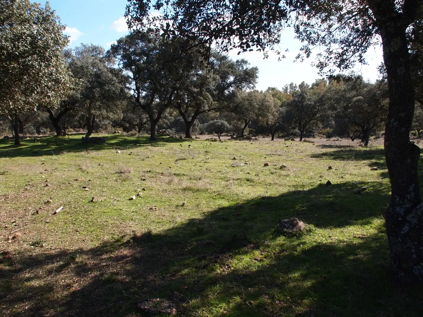 Country house zum Verkauf in Santa Olalla del Cala