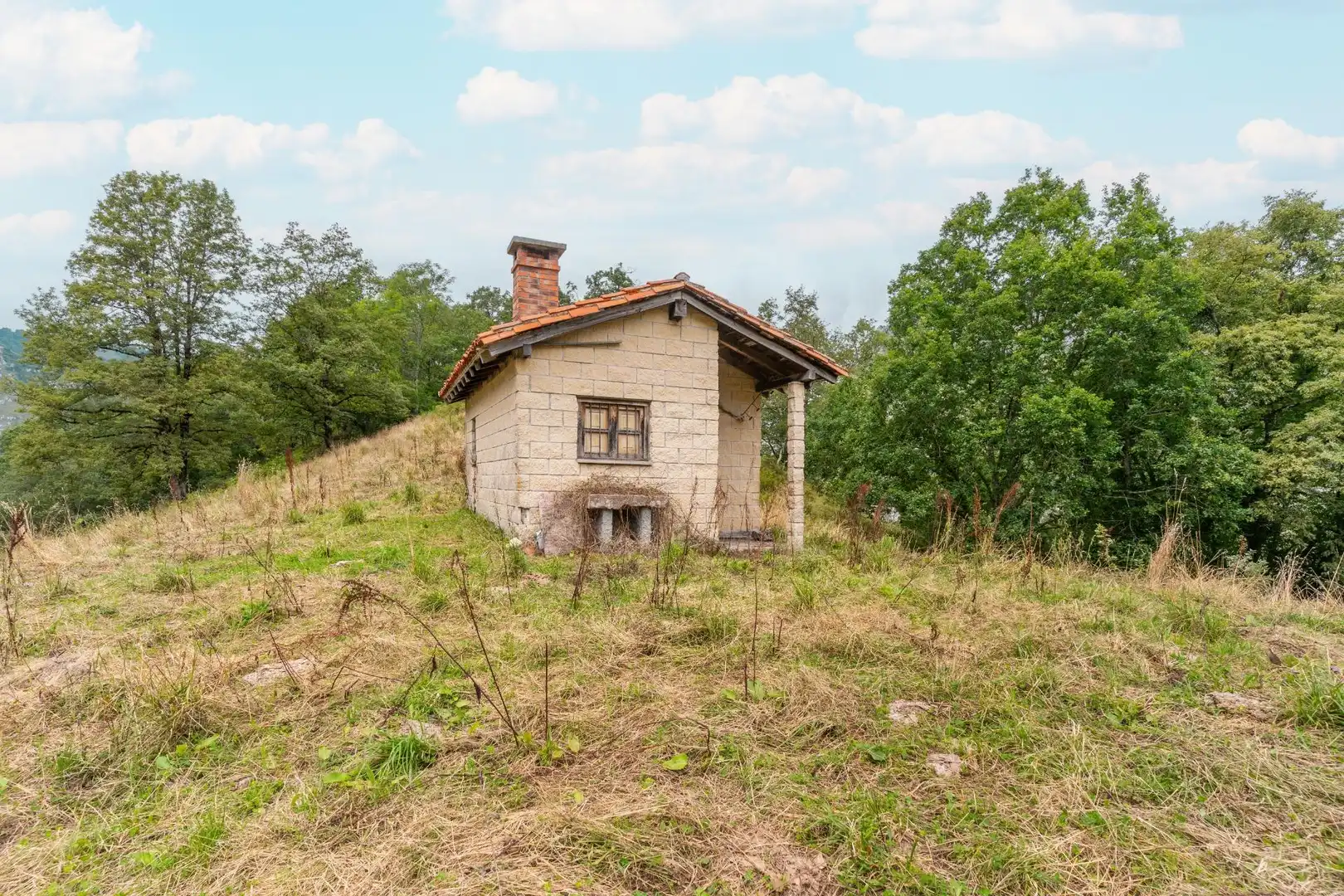 Houses for sale in Amieva