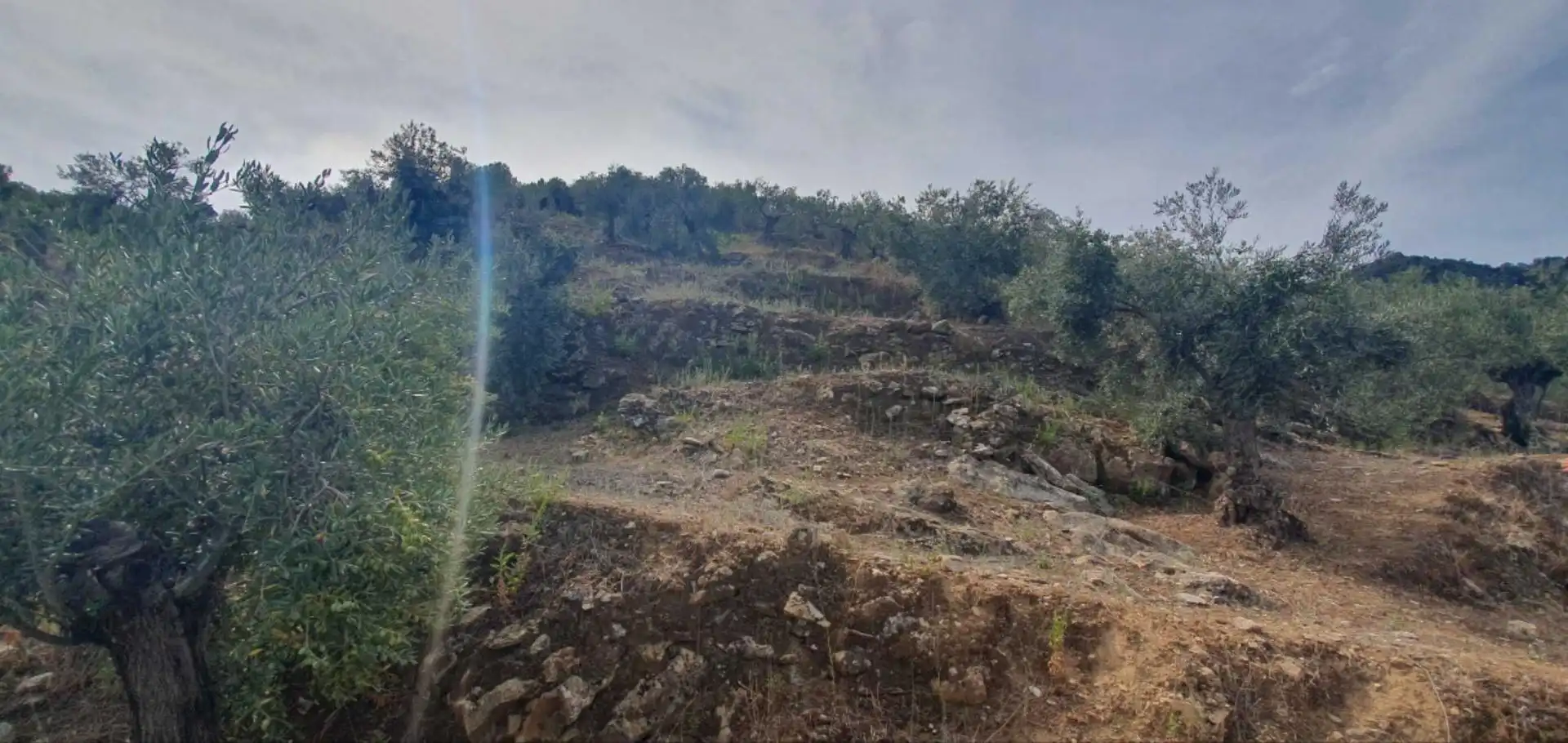Terreni e lotti in vendita a Yunquera, imagen 11