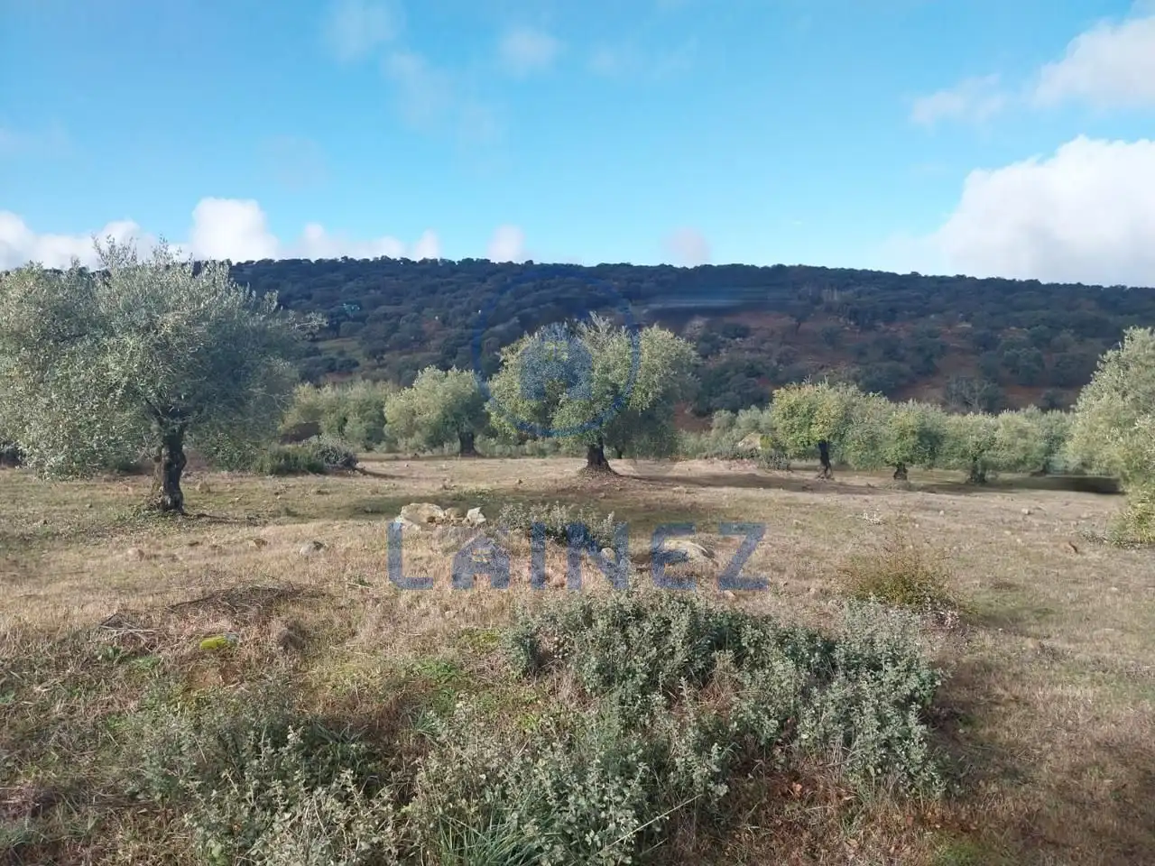 Grundstücke und Bauplätze zum Verkauf in Belmez, imagen 14