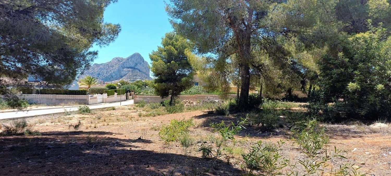 Residential for sale in Calpe / Calp