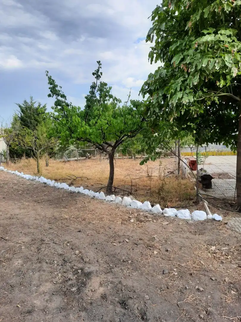 Finca rústica en venta en Beires