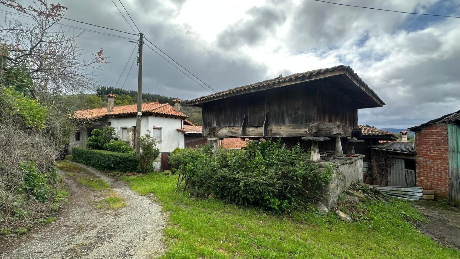 Exterior view of Country house for sale in Tineo  with Heating