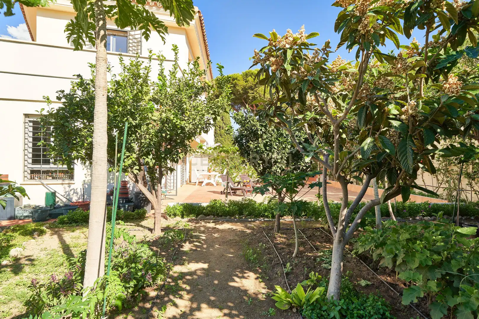 Garden of Houses for sale in Fuengirola  with Private garden, Alarm and Community pool