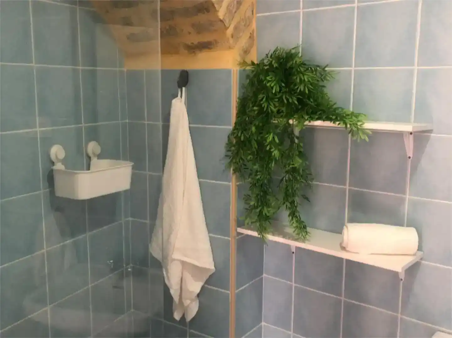 Bathroom of Study for rent in Medina Sidonia