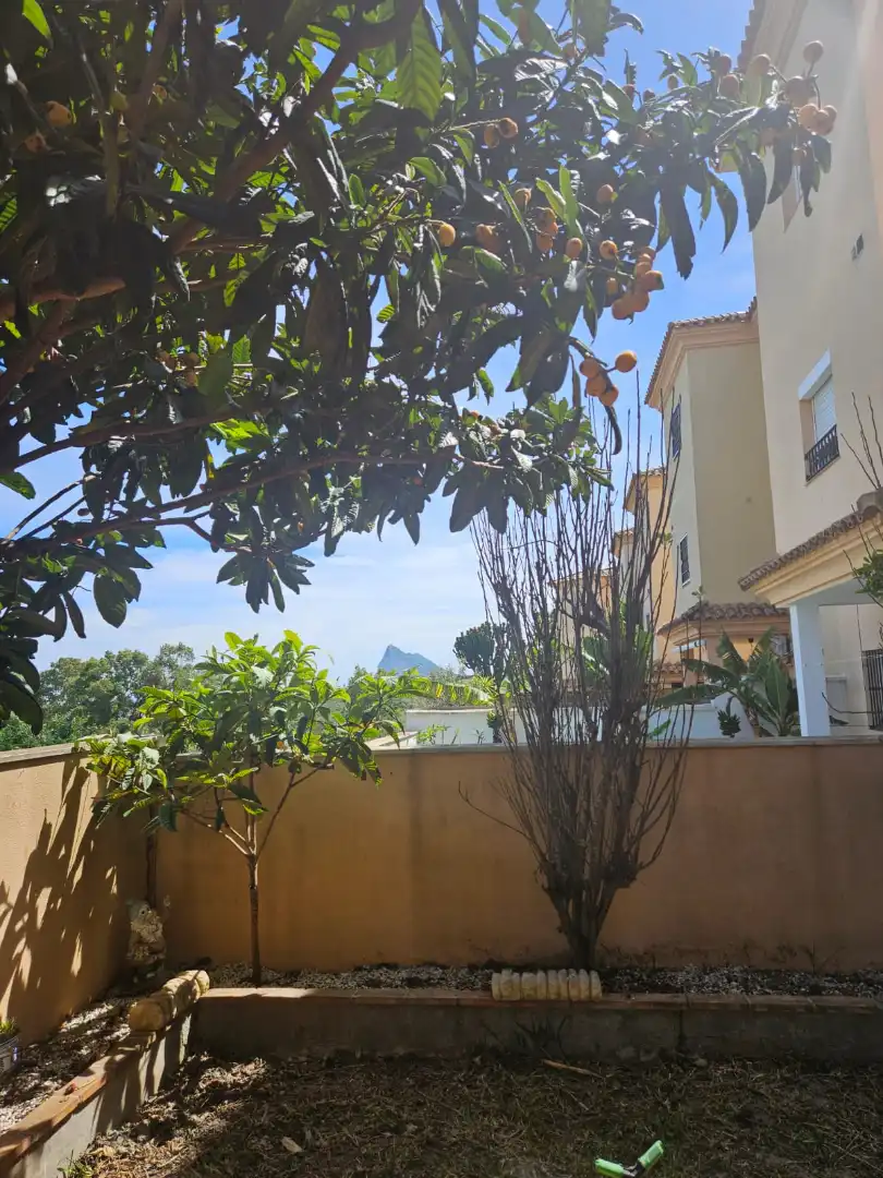 Vista exterior de Casa o xalet en venda en La Línea de la Concepción amb Jardí privat, Terrassa i Traster