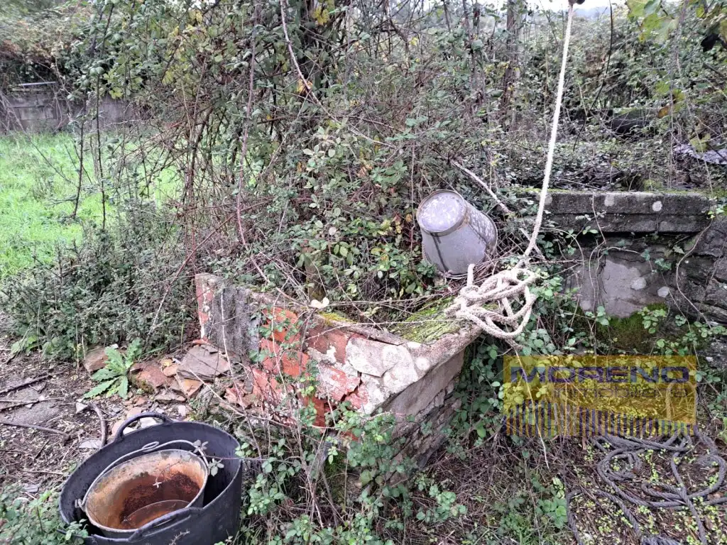 Garden of Country homes for sale in Bóveda