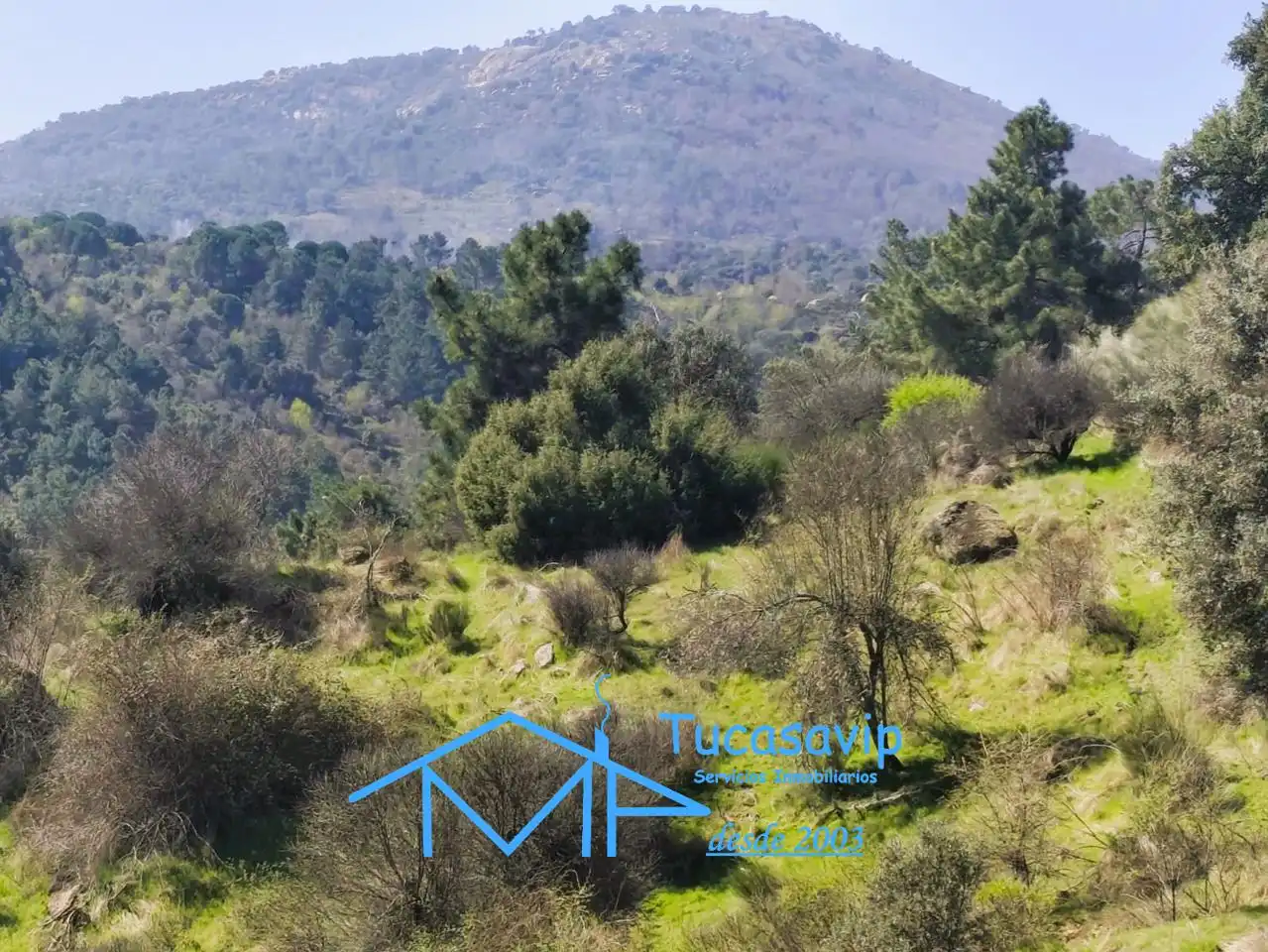 Terreno en venta en Cadalso de los Vidrios
