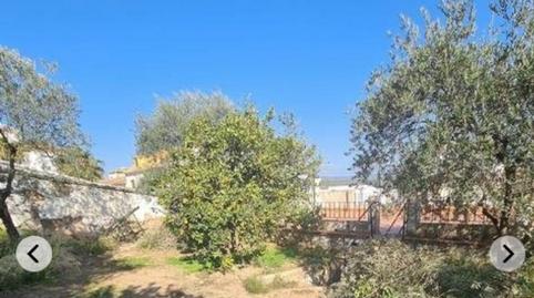 Foto 4 de Finca rústica en venda a Almodóvar del Río, Córdoba