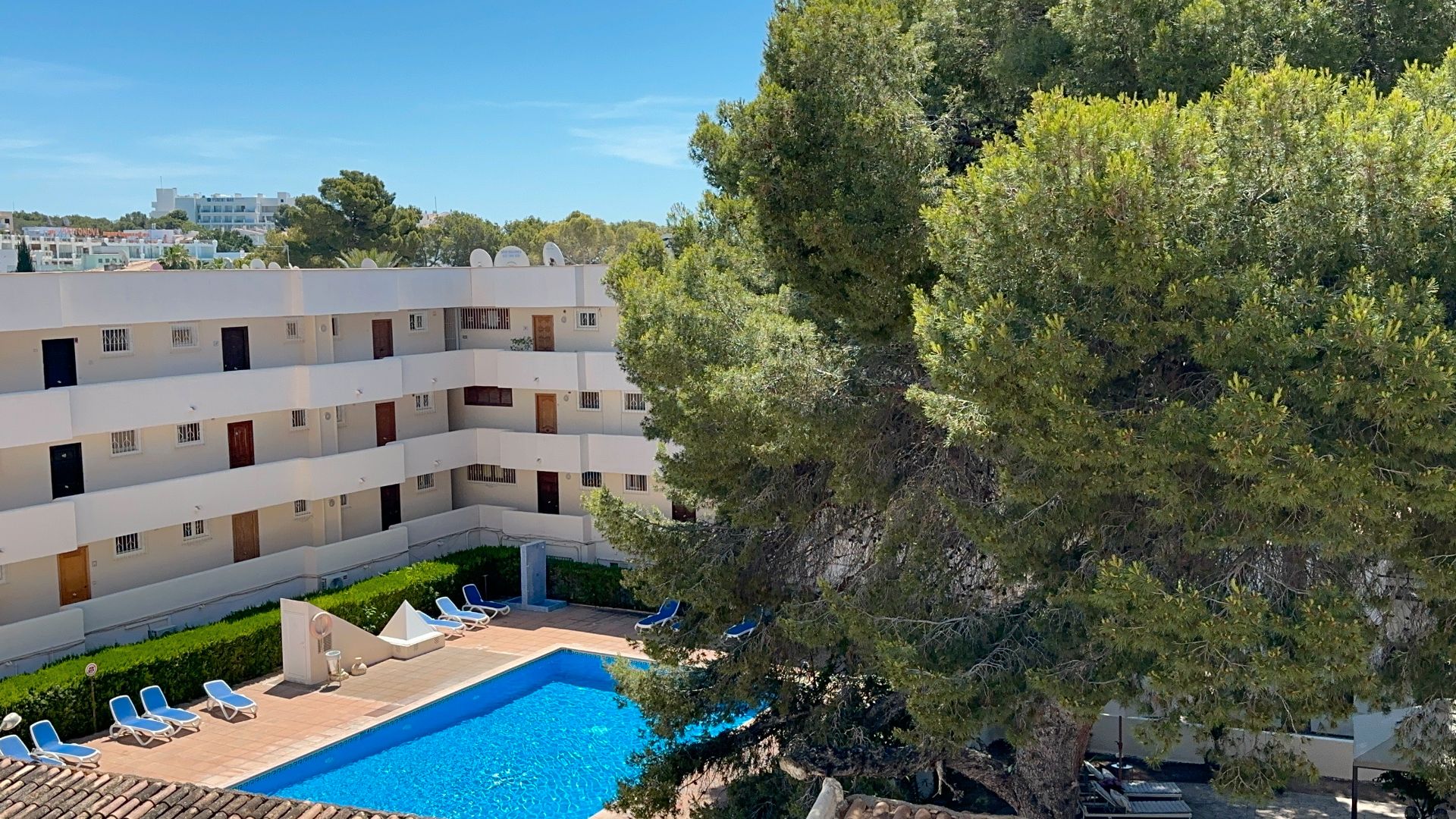 Swimming pool of Apartment to rent in Calvià  with Furnished, Oven and Washing machine