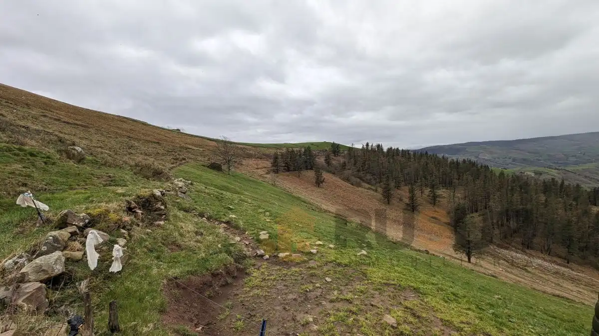 Finca rústica en venta en Selaya