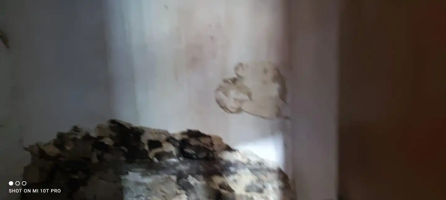 Casa rústica en venda a paderne de allariz, imagen 5