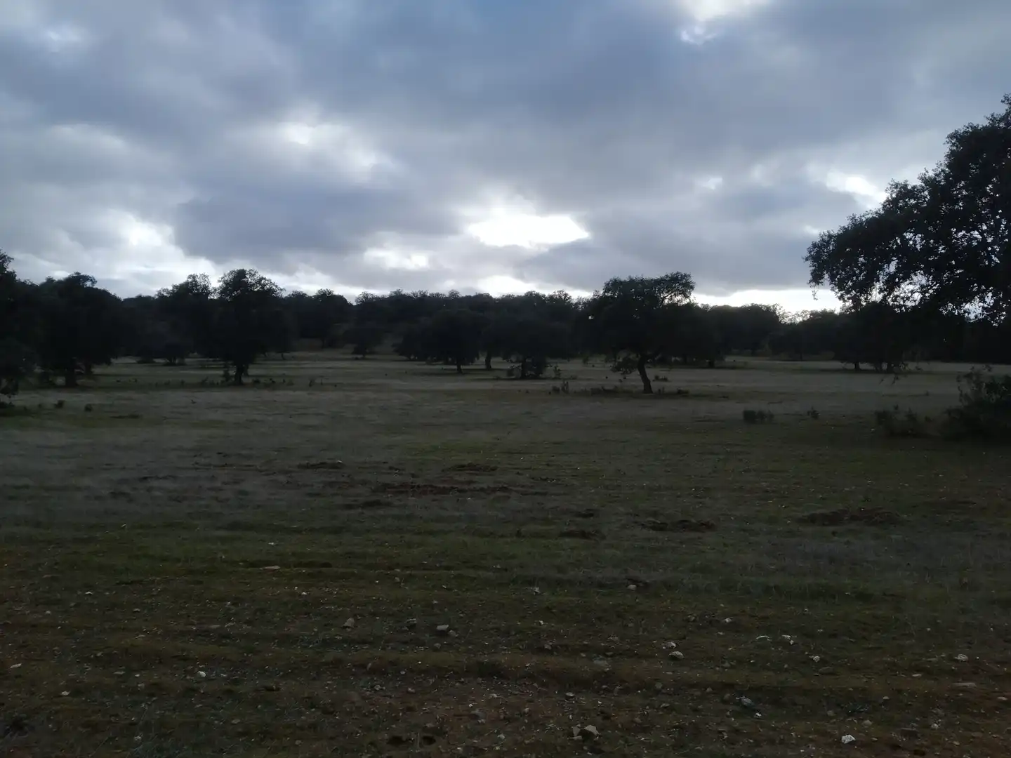 Terreno rustico in vendita a Villanueva del Duque