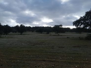 Terreno rustico in vendita a Villanueva del Duque