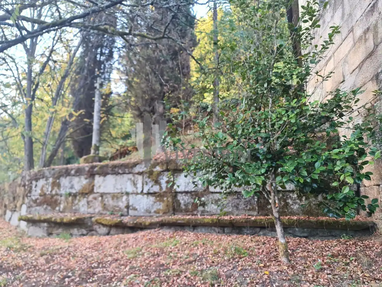 Jardín de Casa o chalet en venta en Cenlle con Jardín privado, Terraza y Balcón