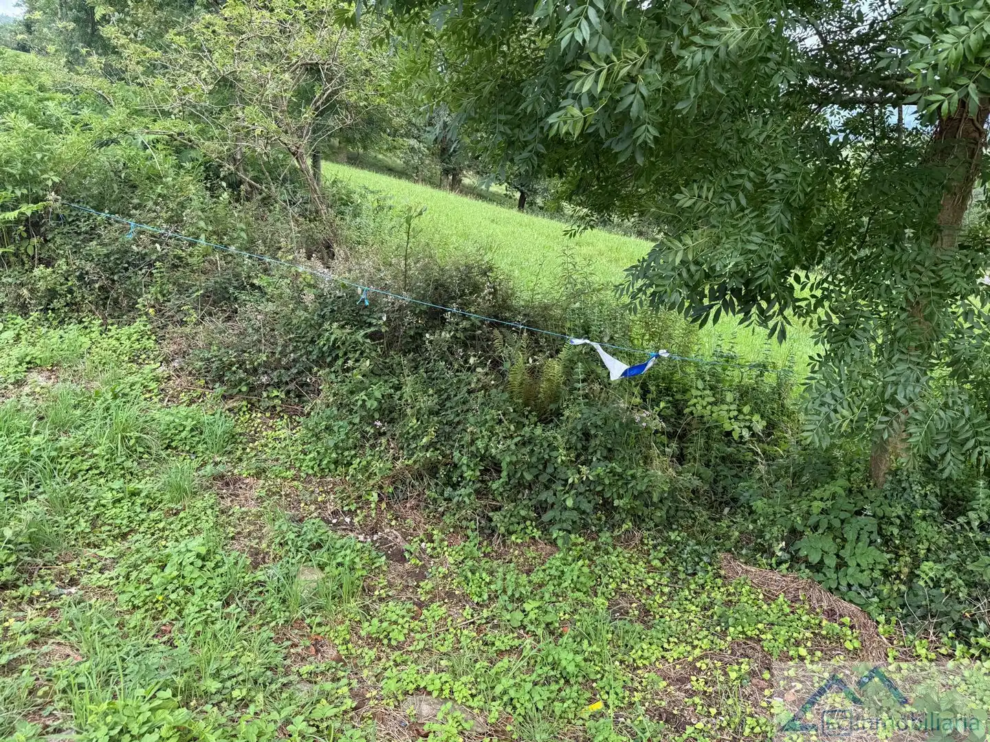 Lands and plots for sale in La Venta, imagen 3