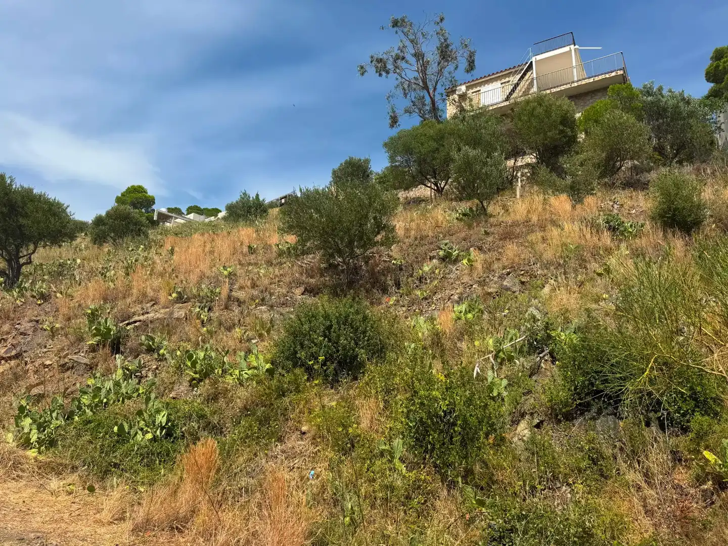 Residential land for sale in Colera, imagen 5