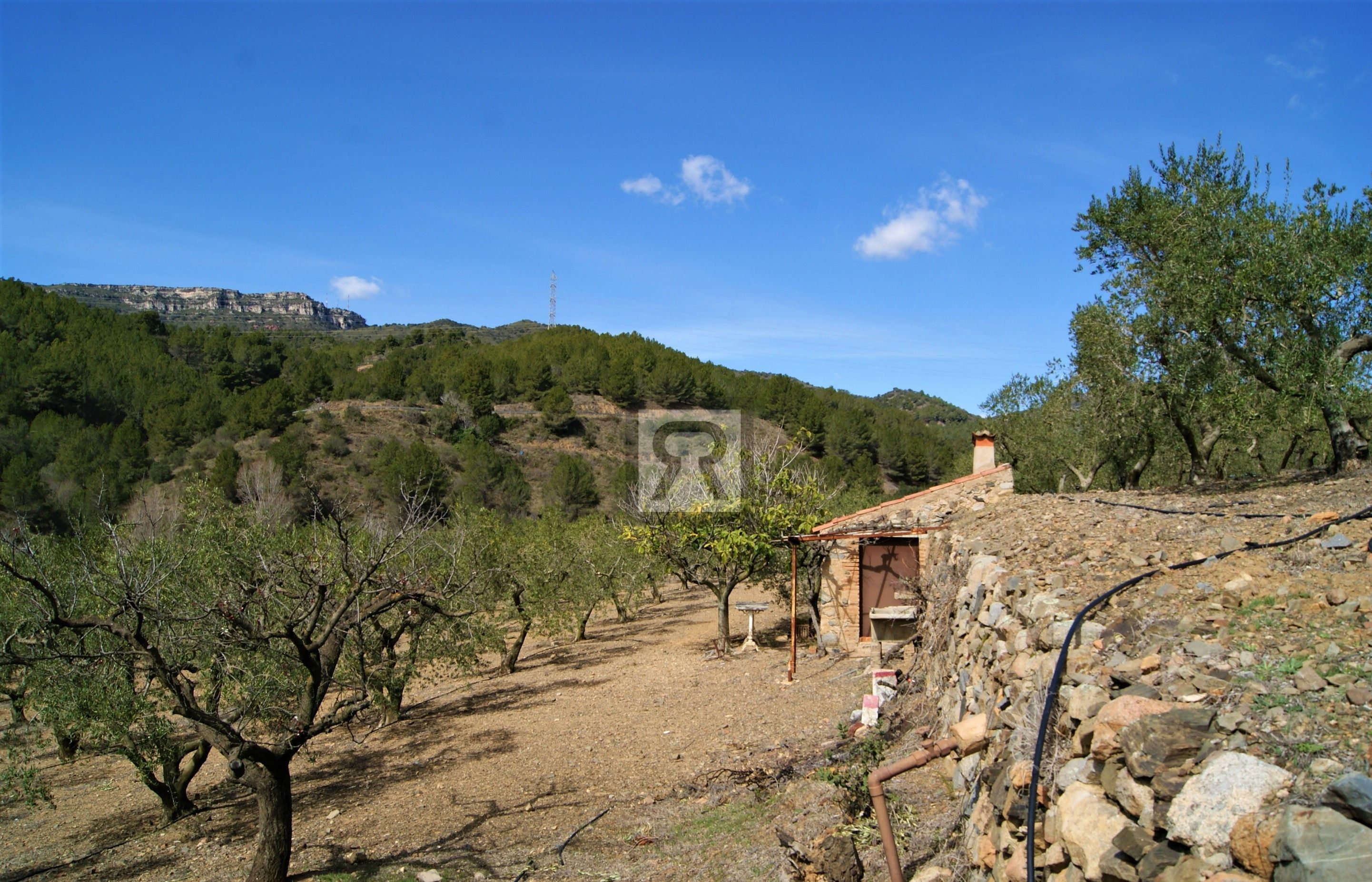 Land for sale in T-313, 5, Duesaigües