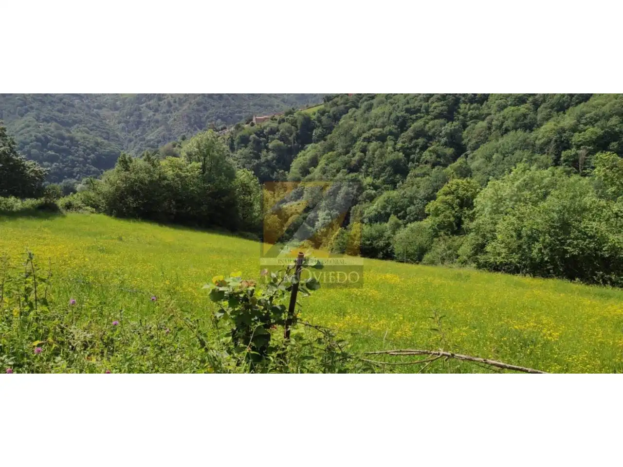 Terreno residenziale in vendita a Carretera SAN ESTEBAN, imagen 2