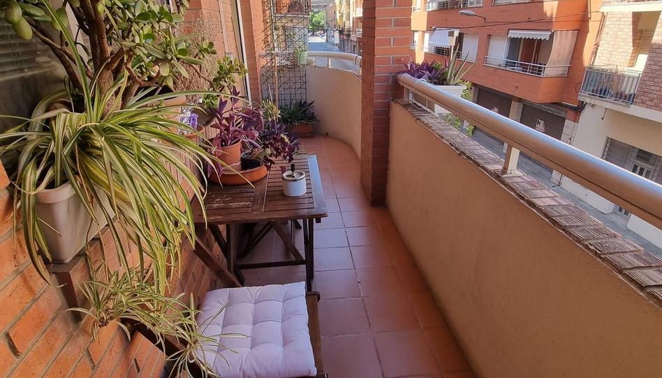 Foto 1 de Pis de lloguer a Pardinyes, Lleida