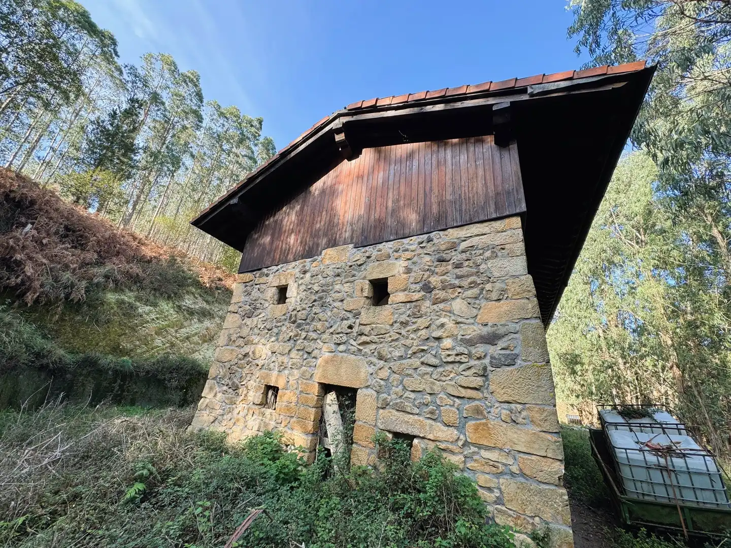 Vista exterior de Finca rústica en venta en Muxika