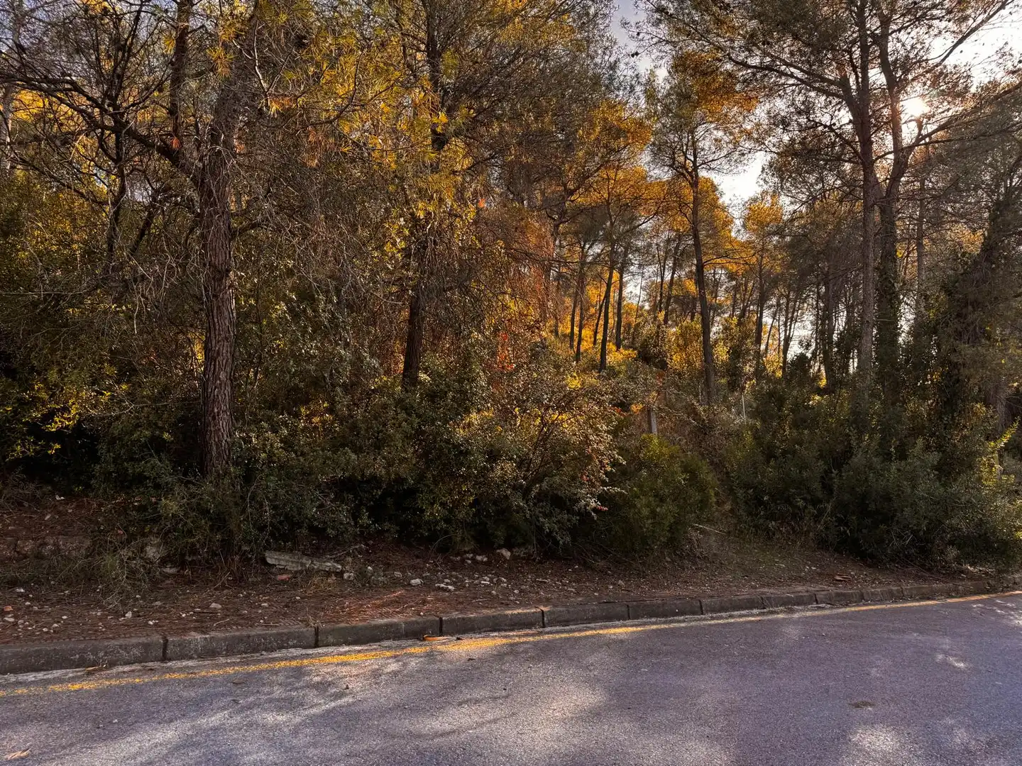 Wohnbaugrundstück zum Verkauf in Corbera de Llobregat, imagen 2
