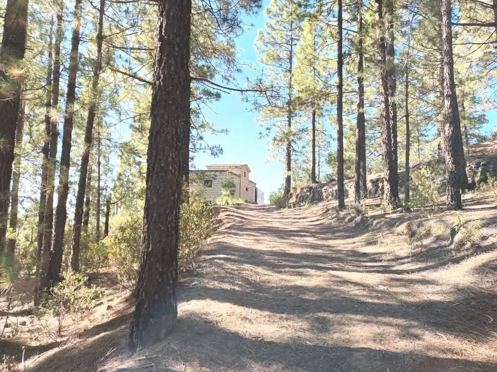 Vista exterior de Casa o chalet en venta en Arafo con Jardín privado, Terraza y Trastero