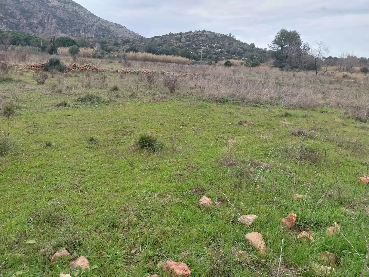 Rural land for sale in Partida la Falaguera