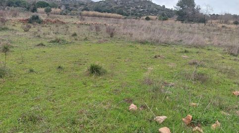 Terreno rustico en Barx
