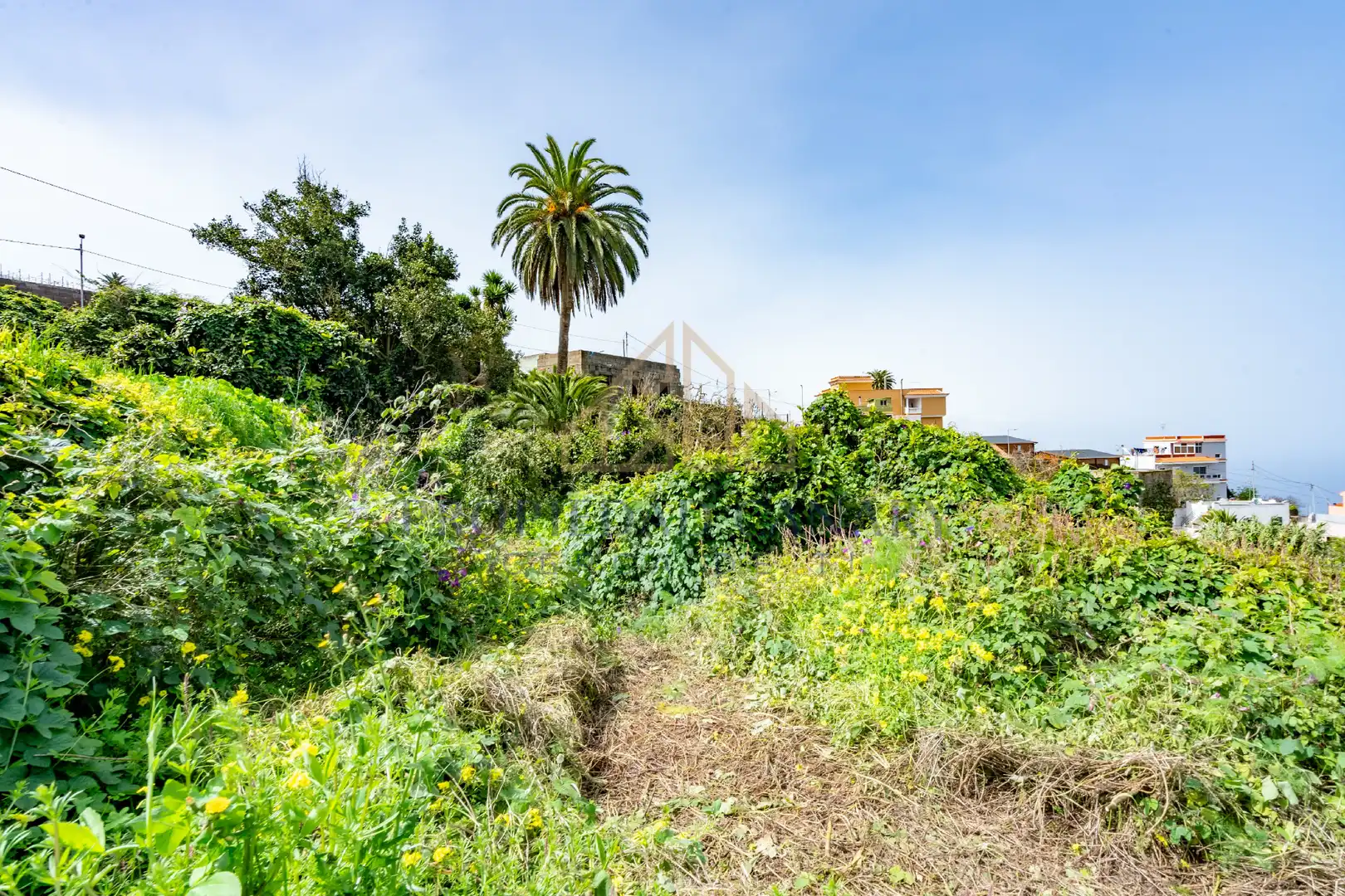 Finca rústica en venda en La Victoria de Acentejo