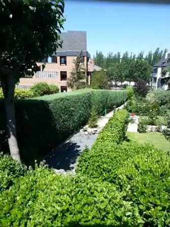 Jardí de Estudi de lloguer en Pozuelo de Alarcón amb Calefacció, Jardí privat i Parquet
