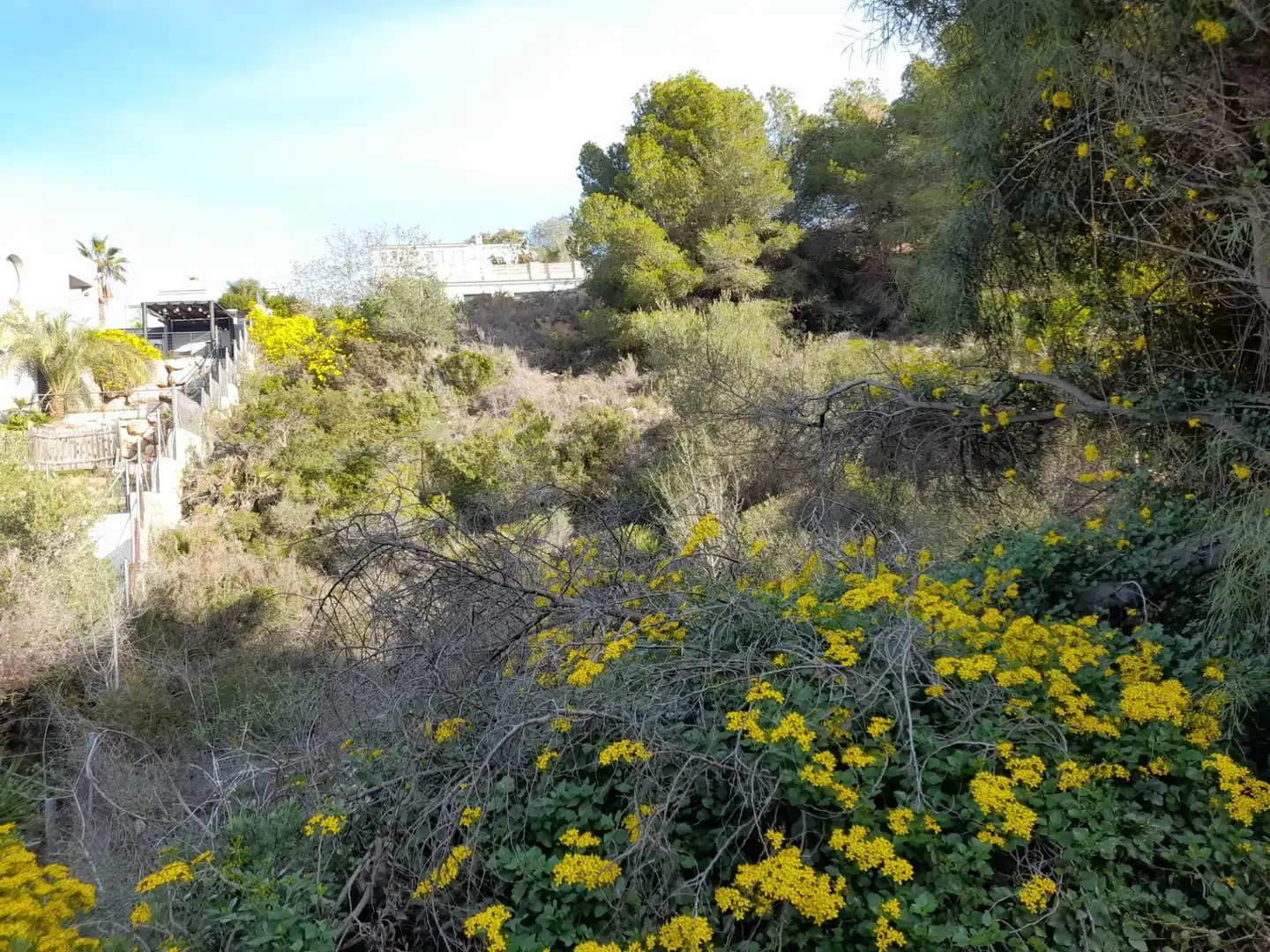 Wohnbaugrundstück zum Verkauf in Avenida de Santa Maria de Montserrat 219, imagen 12