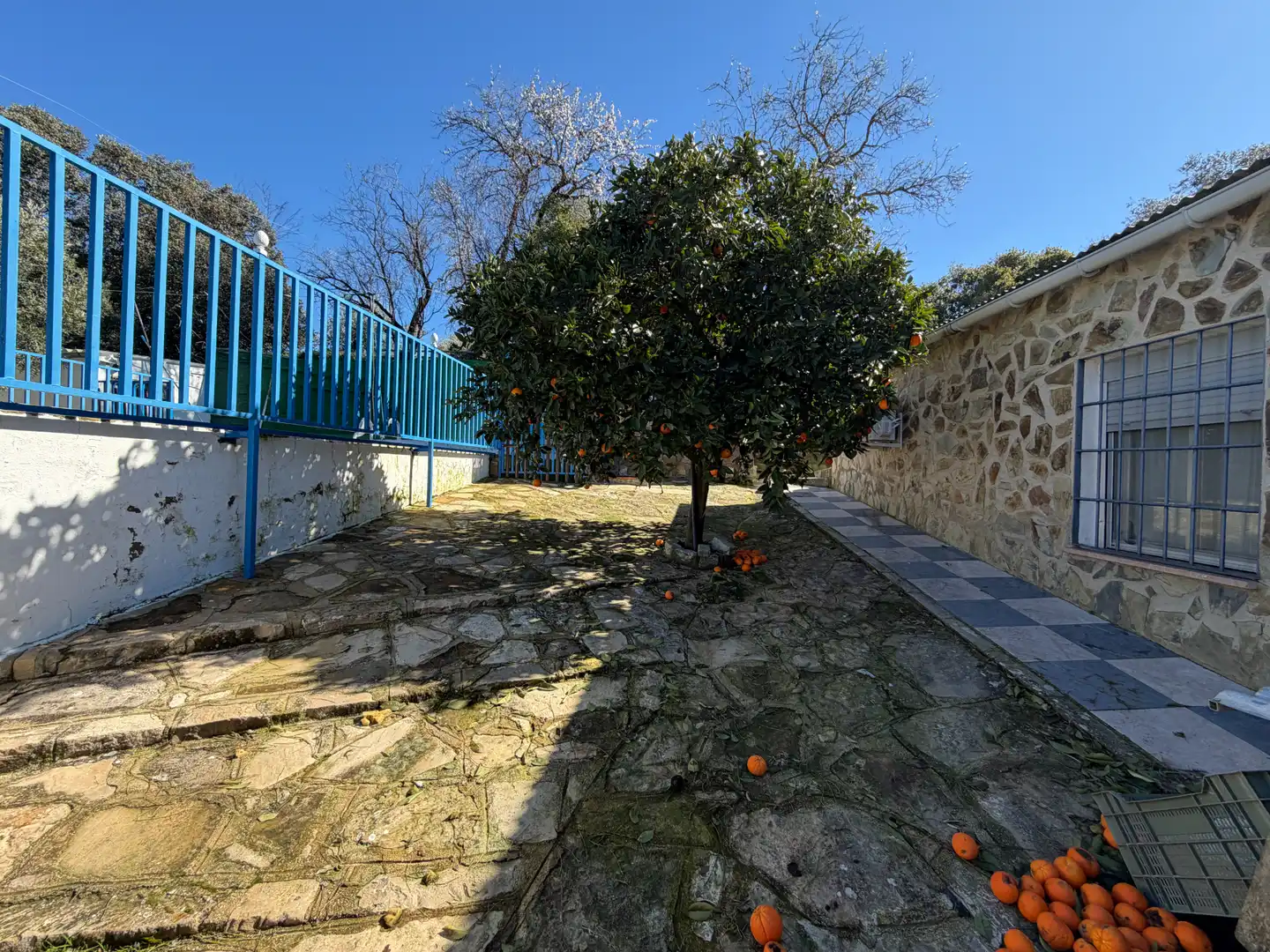 Vista exterior de Terreny en venda en Úbeda