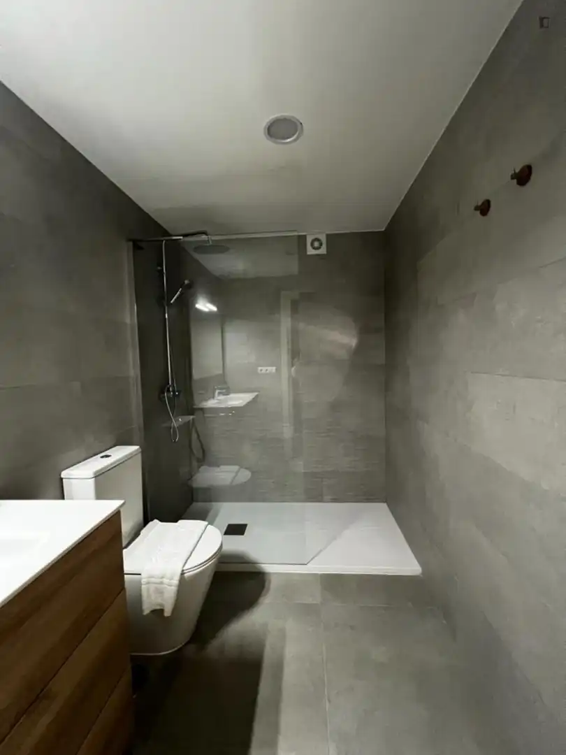 Baño de Apartamento de alquiler en Vigo  con Calefacción, Amueblado y Horno