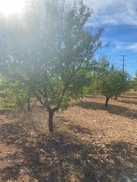 Terreno rustico in vendita a Calle García Pavón, imagen 8