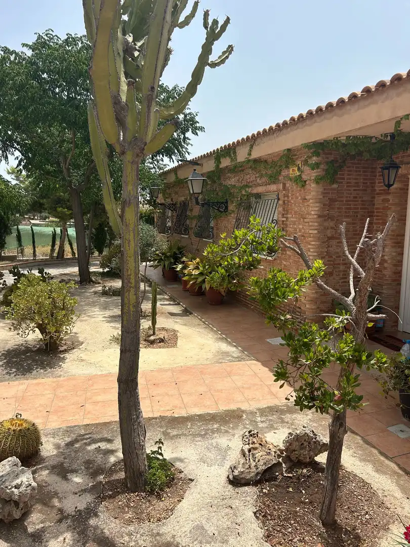 Jardí de Casa o xalet en venda en San Vicente del Raspeig / Sant Vicent del Raspeig amb Aire condicionat, Calefacció i Jardí privat