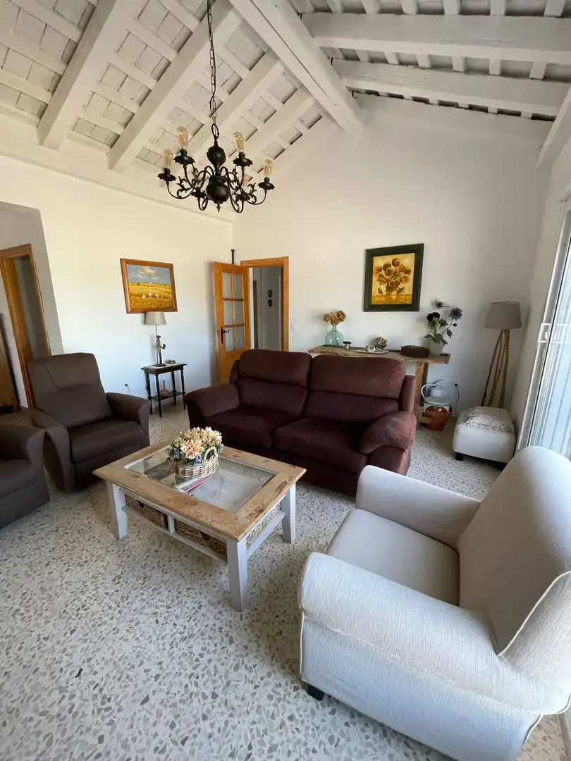 Sala de estar de Casa o chalet en venta en Jerez de la Frontera