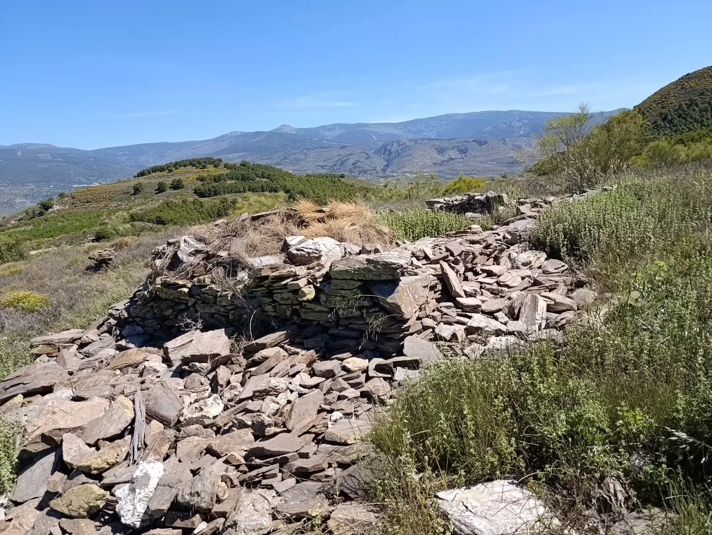 Terrenys i solars en venda a Laujar de Andarax