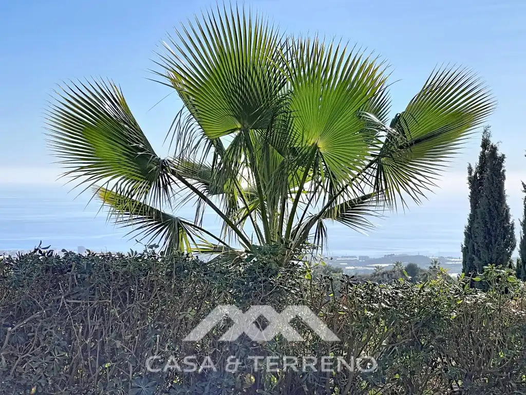 Vista exterior de Casa o xalet en venda en Algarrobo amb Jardí privat, Terrassa i Piscina