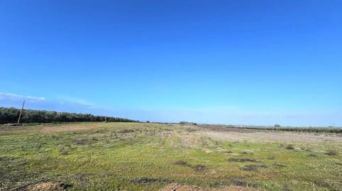 Photo 2 of Land for sale in Maria Auxiliadora - Barriada de Llera, Badajoz Capital