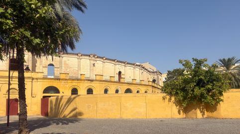 Photo 3 of Flat for sale in Plaza de Toros, Jerez de la Frontera